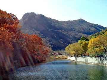 新澳天天开奖资料大全旅游团，龙在天涯小说